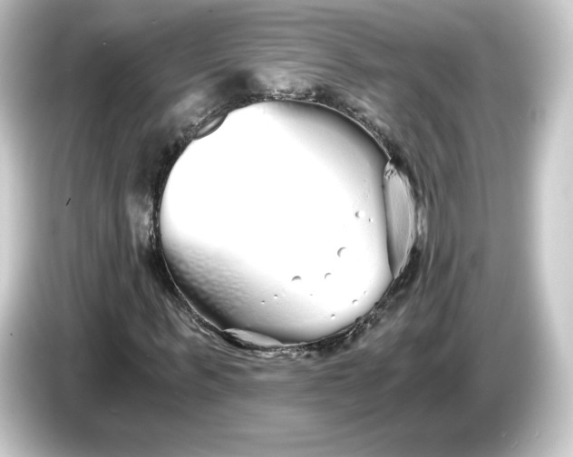 X0000084550963200703161643