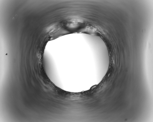 X0000084550964200703161643