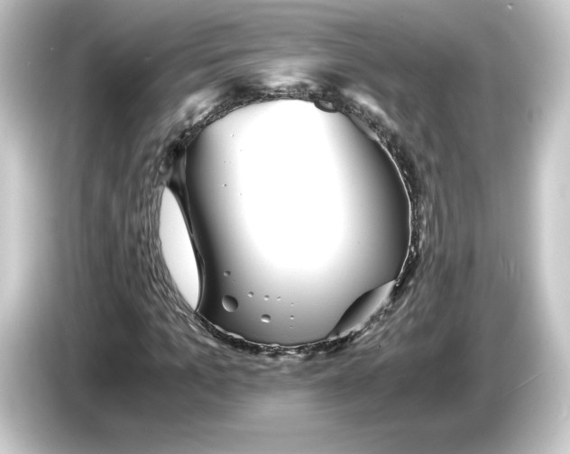 X0000084550965200703161643