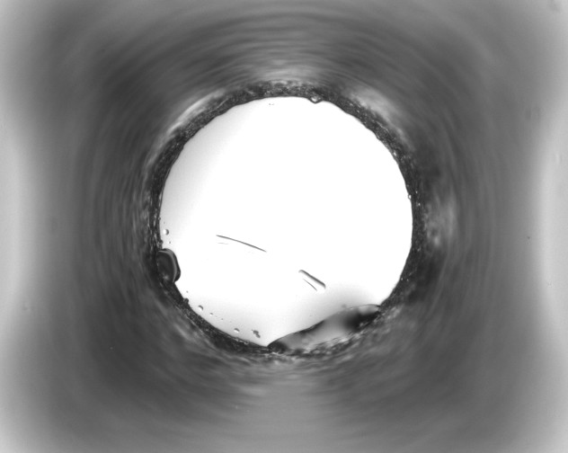 X0000084550968200703161643