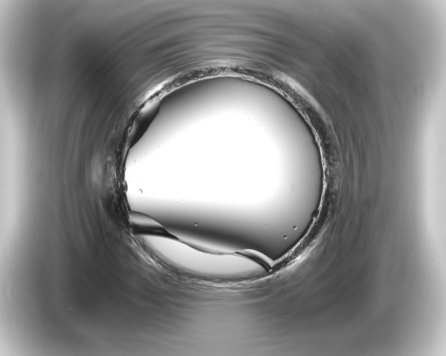 X0000084550969200703161643