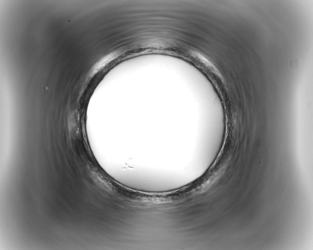 X0000084550970200703161643