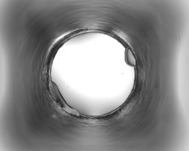 X0000084550971200703161643