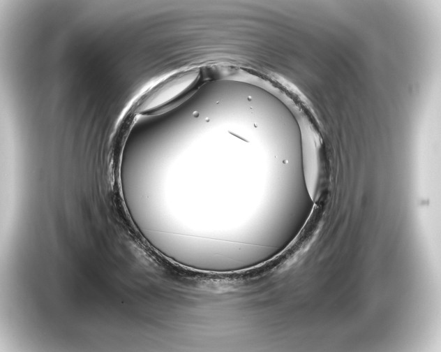 X0000084550973200703161643