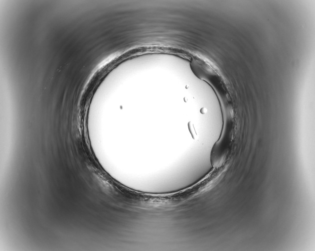 X0000084550974200703161643