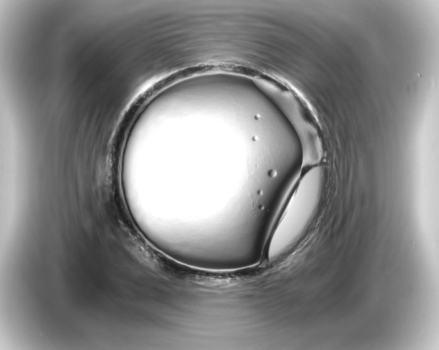 X0000084550975200703161643