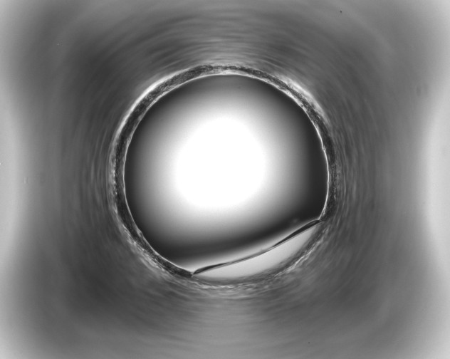 X0000084550976200703161643