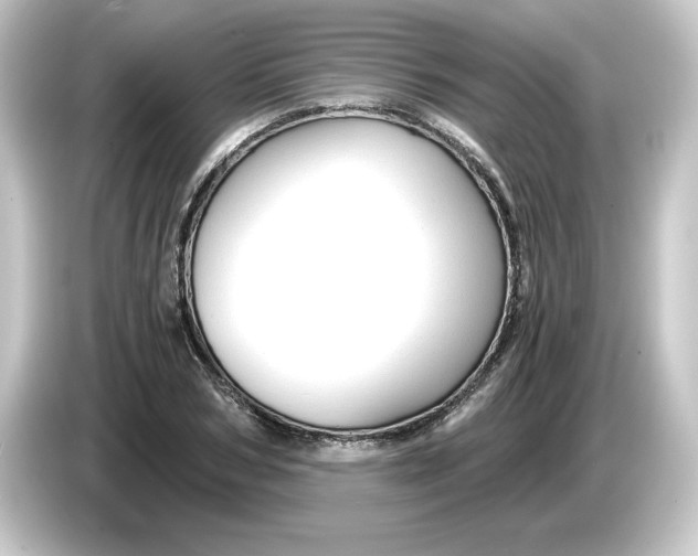 X0000084550978200703161643