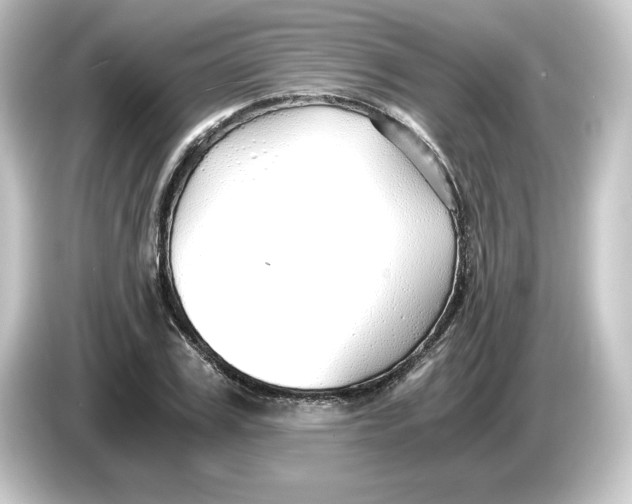 X0000084550979200703161643