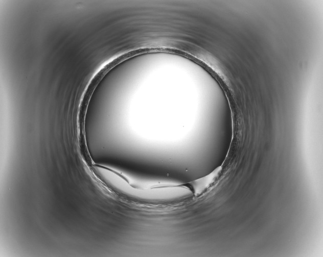 X0000084550980200703161643