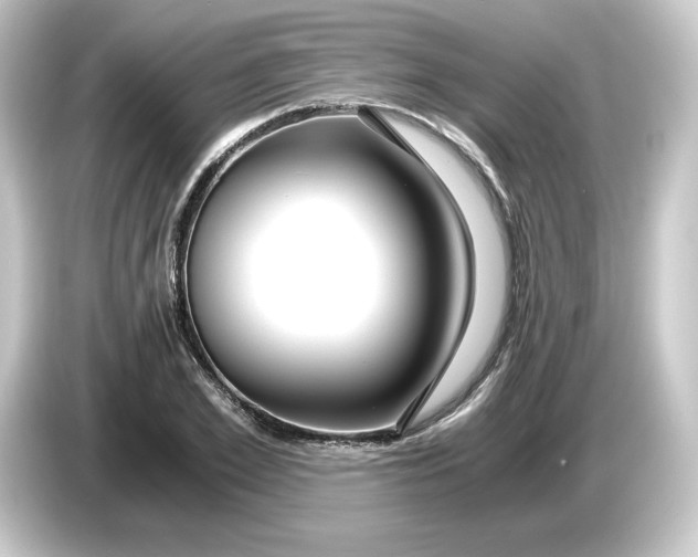 X0000084550981200703161643