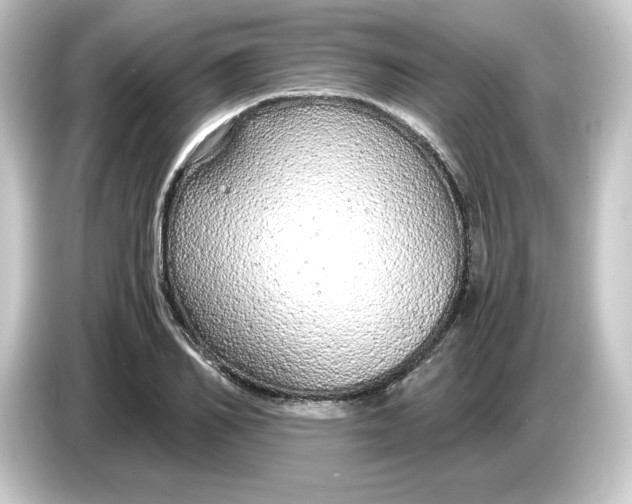 X0000084550982200703161643