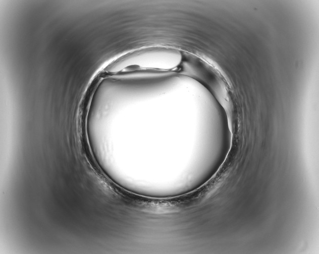 X0000084550983200703161643