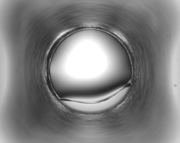 X0000084550984200703161643