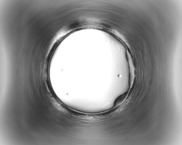 X0000084550987200703161643