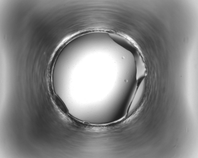 X0000084550989200703161643