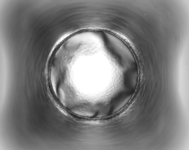 X0000084550990200703161643