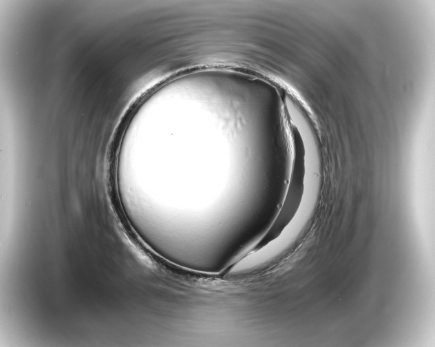 X0000084550991200703161643