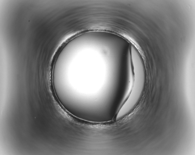 X0000084550992200703161643