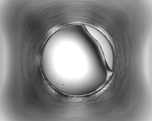 X0000084550993200703161643