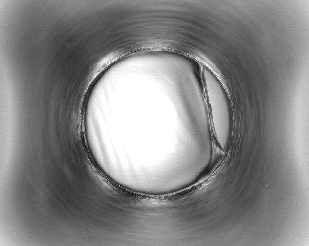 X0000084550994200703161643