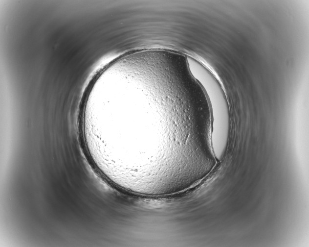 X0000084550995200703161643