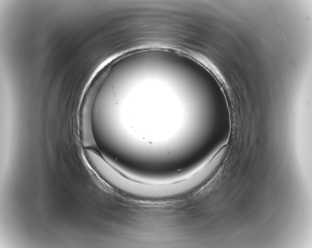 X0000084550996200703161643