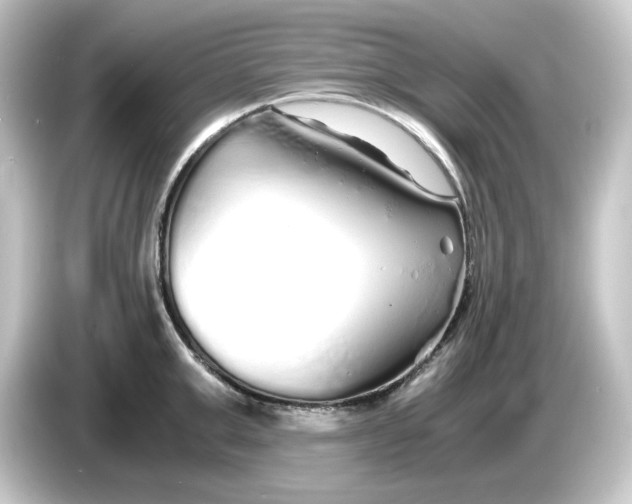 X0000084550999200703161643