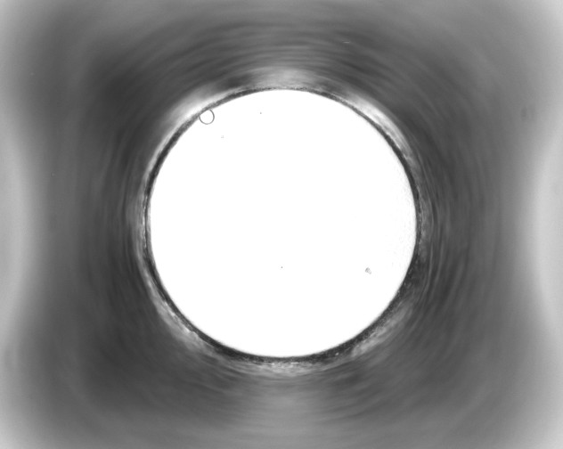 X0000084551000200703161643