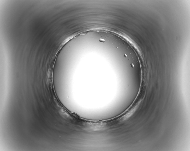 X0000084551001200703161643