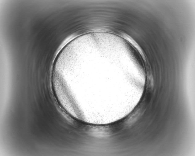 X0000084551002200703161643