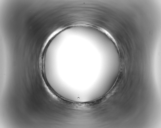 X0000084551003200703161643