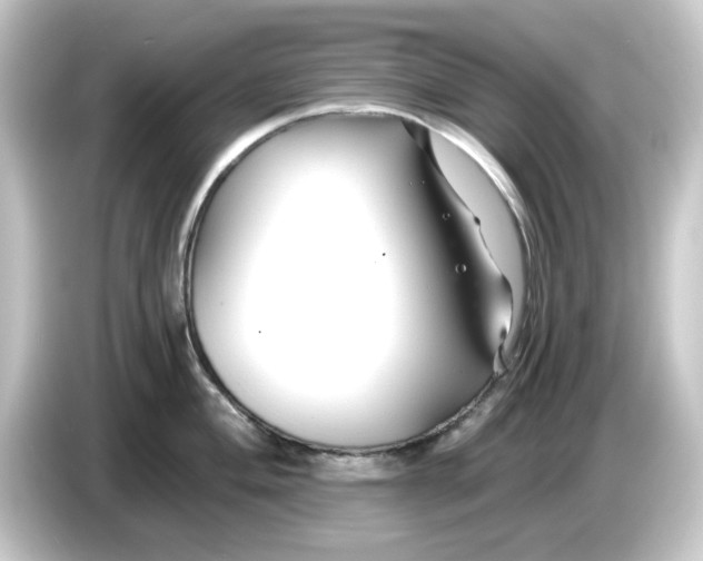 X0000084551004200703161643