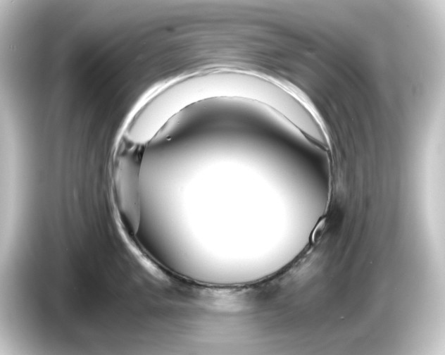 X0000084551005200703161643