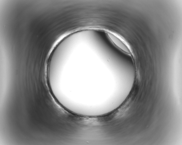 X0000084551006200703161643