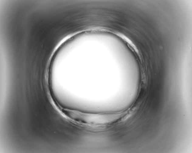 X0000084551007200703161643