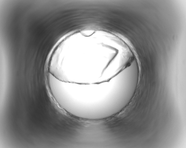 X0000084551008200703161643