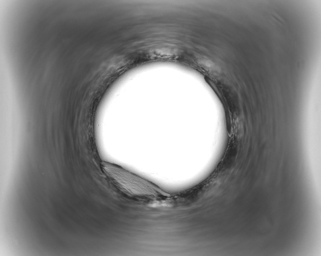 X0000084551009200703161642