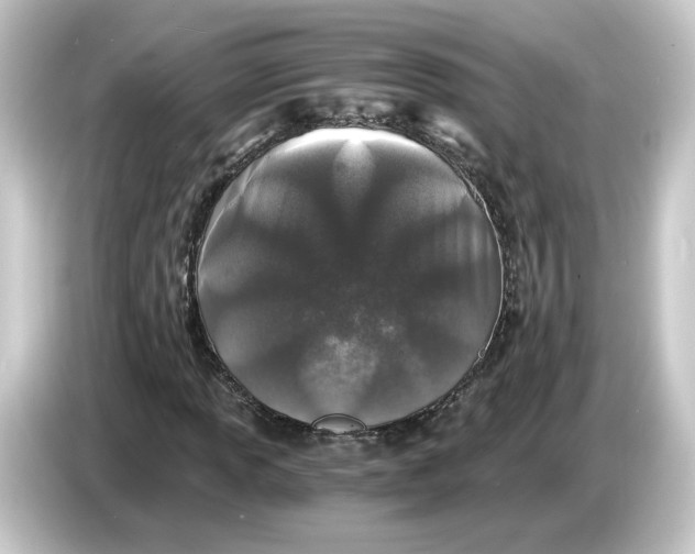 X0000084551013200703161642