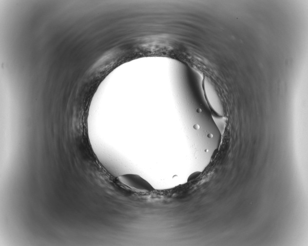 X0000084551014200703161642