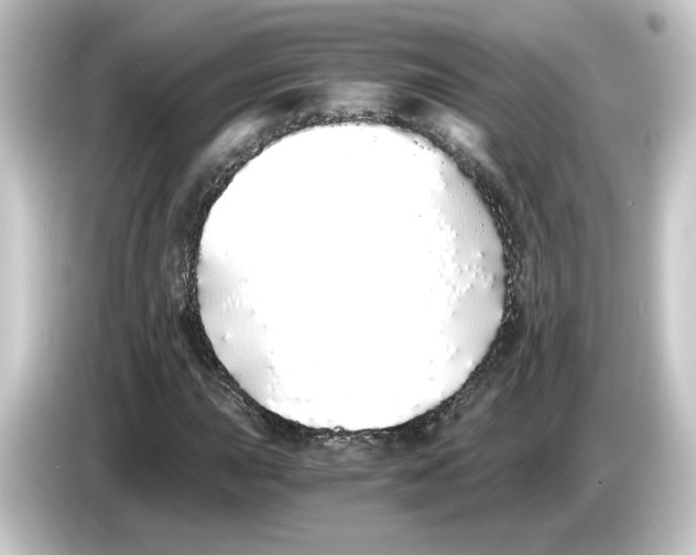 X0000084551015200703161642