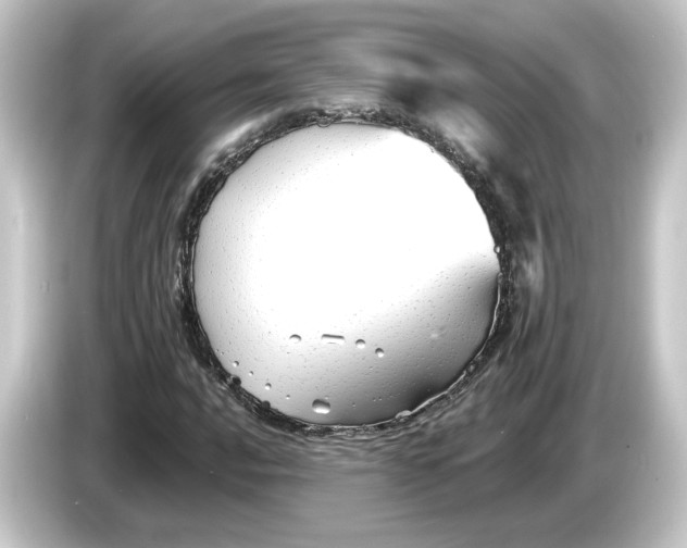 X0000084551016200703161642