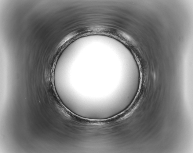 X0000084551017200703161642