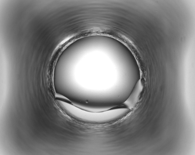 X0000084551018200703161642