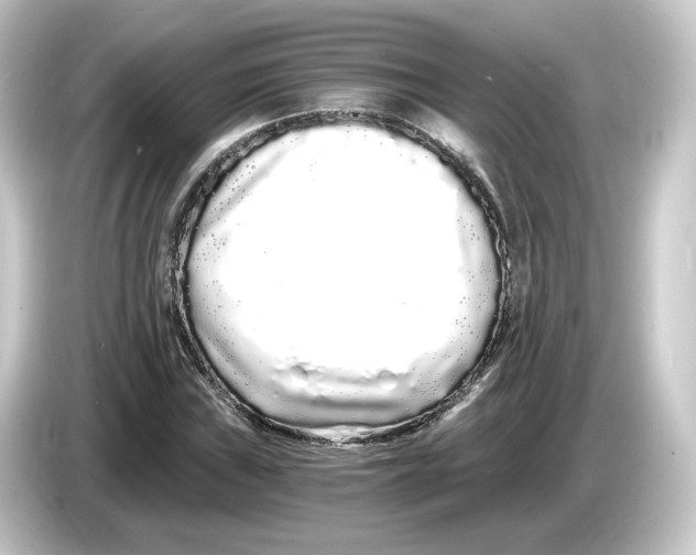 X0000084551019200703161643