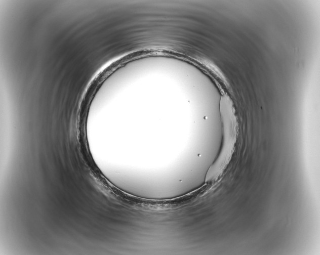 X0000084551020200703161643