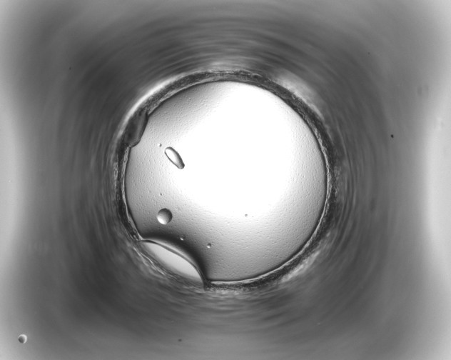 X0000084551021200703161643