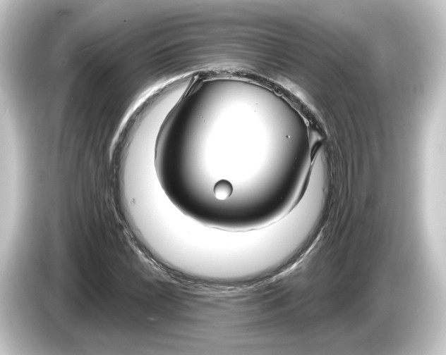 X0000084551022200703161643