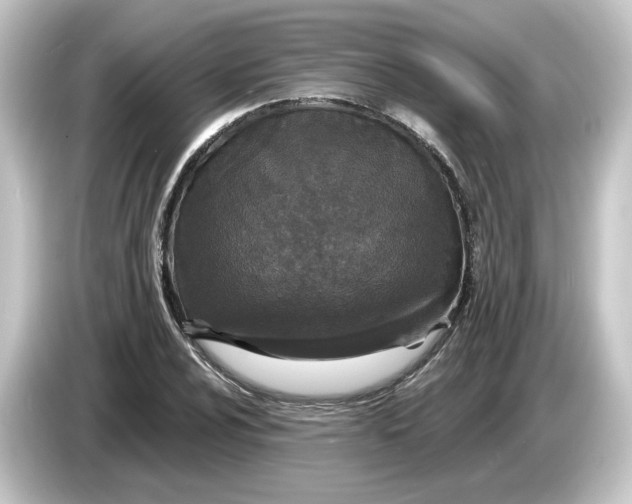 X0000084551024200703161643