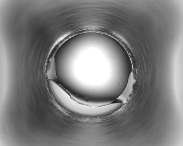 X0000084551026200703161643